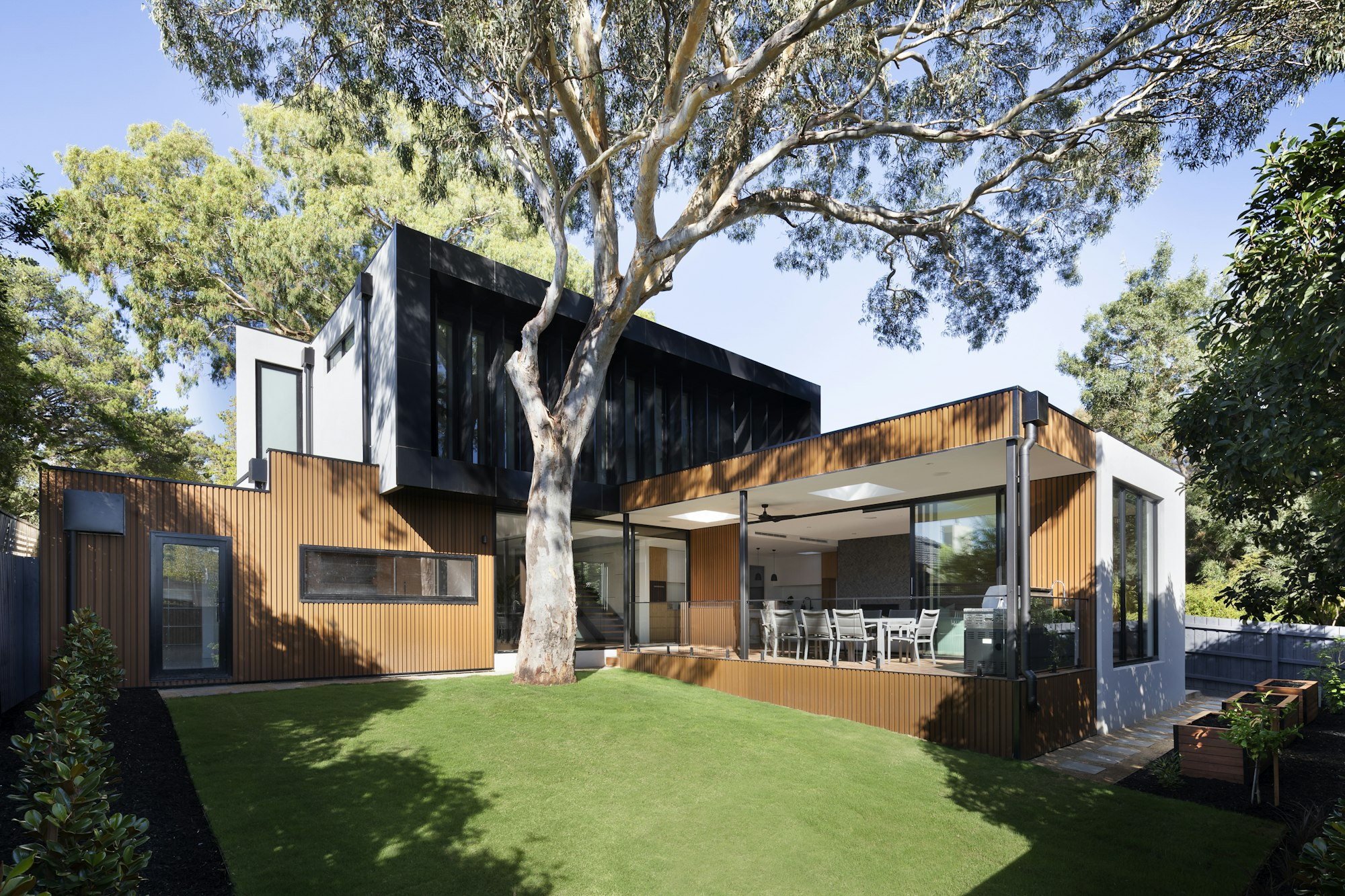 A modern residence glowing at dusk beneath a large live oak